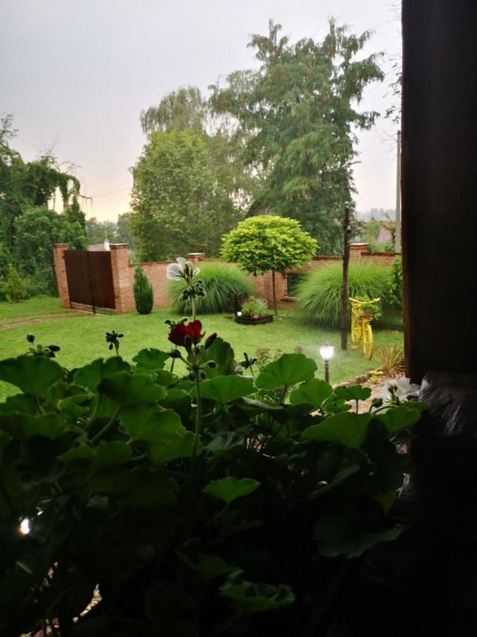 Etno Kuca Todorovic Villa Smederevo Eksteriør bilde